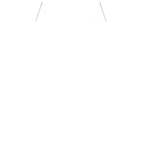 Mission Manor